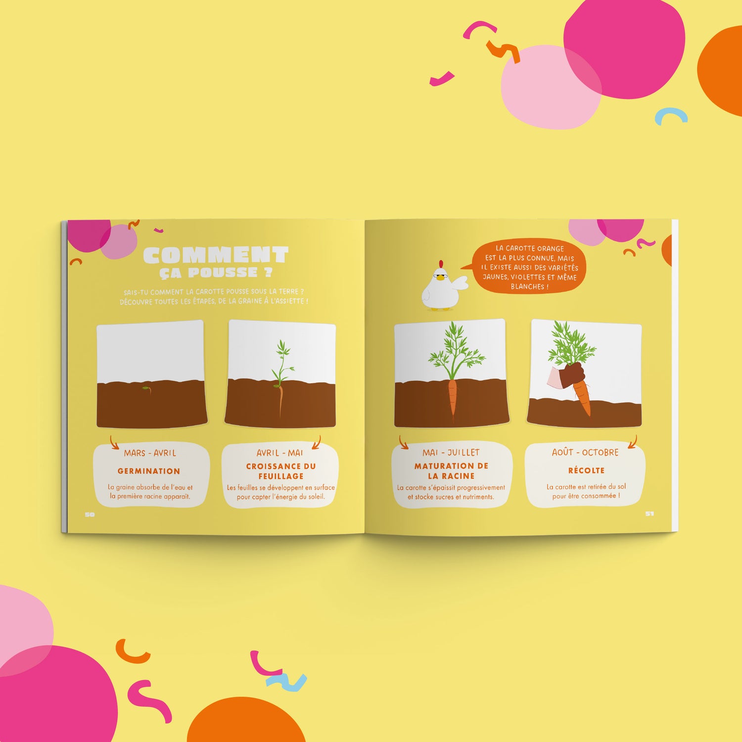 Graines de Demain : Charlotte la carotte