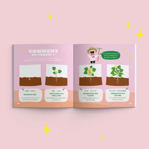 
                                              
                            Graines de Demain : Juliette la courgette	
                            	
                            