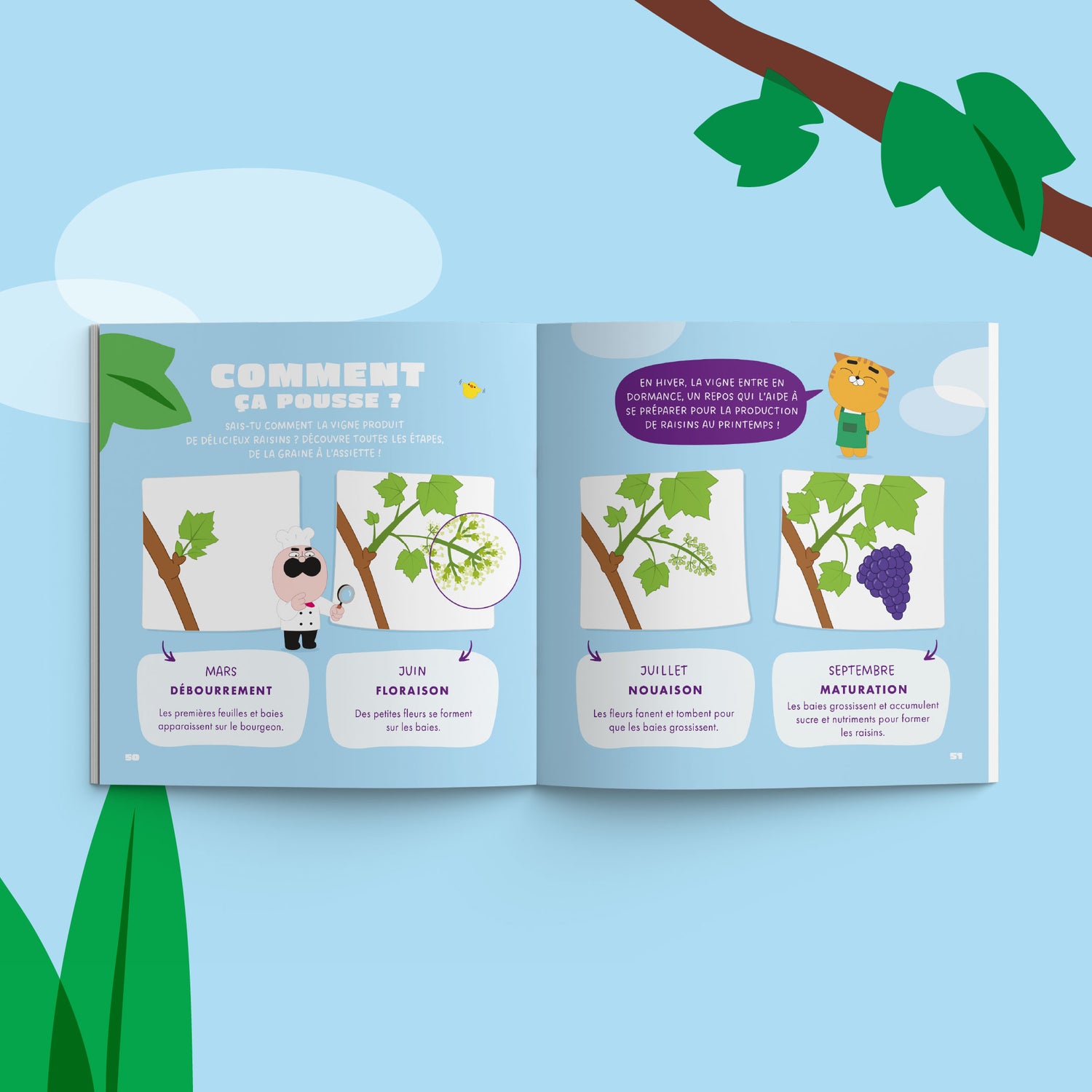 Graines de Demain : Martin le raisin