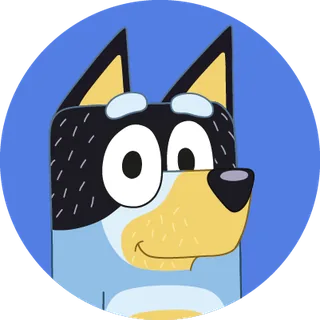 Bandit